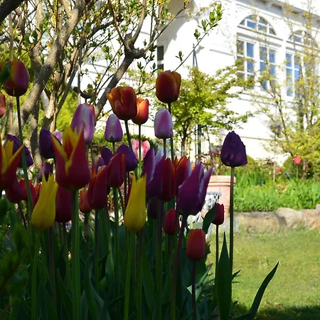 Mit Sonnenhof Gartenzauber Mit Kostenfreier Schwimmbadnutzung In Sellin